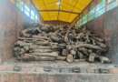 टनकपुर : वन कर्मियों ने लकड़ी से लदा ट्रक पकड़ा