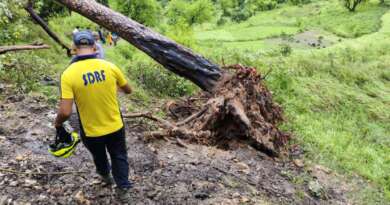 उत्तराखंड में पेड़ की चपेट में आने से दो छात्रों की मौत, स्कूल से लौटते समय हुआ हादसा
