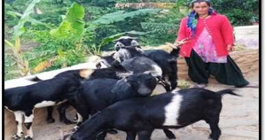 ग्रामोत्थान परियोजना से मिली 35 हजार की मदद ने तारी देवी का जीवन बदला