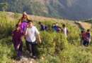 चम्पावत : कुर्सी की डोली बनाई और वृद्धा को अस्पताल ले जाने के लिए 11 किमी पैदल चल कर सड़क तक पहुंचाया