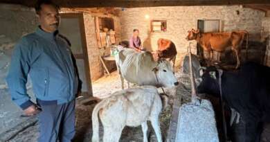 गोपाल रत्न पुरस्कार–2025 में चम्पावत की चमक, प्रदीप पंगरिया होंगे सम्मानित