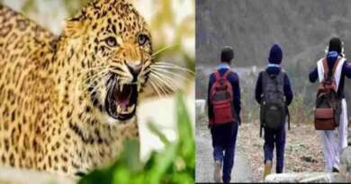 गुलदार का खौफ, 31 तक बंद रहेंगे यहां के स्कूल…