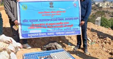 लोहाघाट : 36वीं बटालियन को 800 किलो जिंदा मुर्गियों की सप्लाई