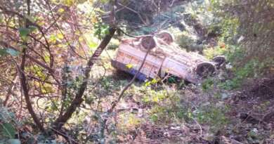 गहरी खाई में गिरा पिकअप वाहन, पांच लोग गंभीर घायल, बस को पास देते समय हुआ हादसा