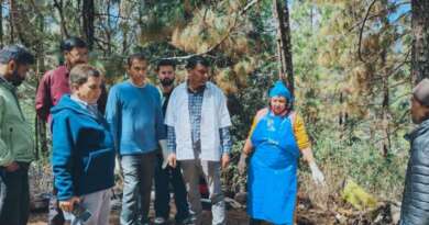 चम्पावत : कल हुई भारी बारिश की चपेट में आने से 27 भेड़ें मरीं, पशुपालक को मुआवजा देने की प्रक्रिया शुरू