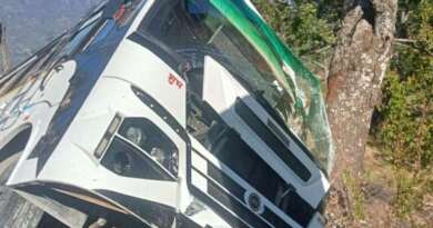 उत्तराखंड में सवारियों से भरी बस दुर्घटनाग्रस्त, एक पेड़ ने बचाई 30 जिंदगियां, टला बड़ा हादसा