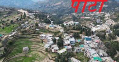 नगर पंचायत पाटी के लिए निर्वाचन एवं सहायक निर्वाचन अधिकारियों की नियुक्ति