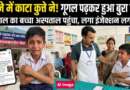 सपने का कुत्ता, सच का इंजेक्शन: गूगल पढ़कर उड़े 12 साल के बच्चे के होश, पहुंचा अस्पताल