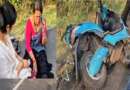 टनकपुर-खटीमा हाईवे पर स्कूटी हाथी से टकराई, शिक्षिका हुई घायल और हाथी का दांत टूटा