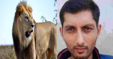 रोजगार के लिए गुजरात गए पिथौरागढ़ के युवक को शेर ने बनाया निवाला,परिजनों में मचा कोहराम