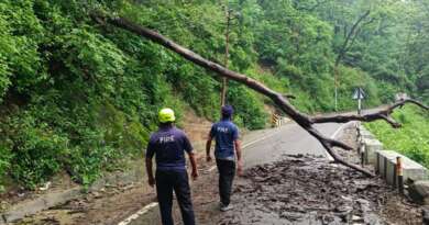 पूर्णागिरि मार्ग पर फायर टीम की त्वरित कार्रवाई, सड़क पर गिरा पेड़ हटाकर यातायात कराया बहाल