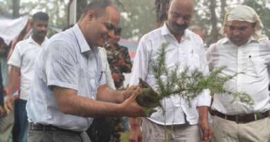 हरेला महोत्सव पर वन पंचायत पुनेठी में वृहद वृक्षारोपण, पर्यावरण संरक्षण का लिया संकल्प