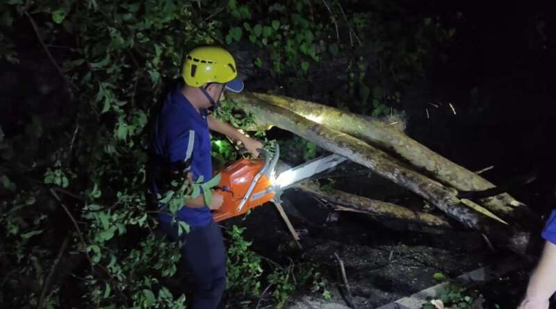 रानीहाट में गिरे पेड़ को हटाकर पूर्णागिरी मार्ग किया गया सुचारू, प्रशासन ने बहाल कराया यातायात