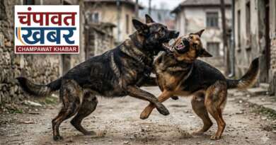 देहरादून में कुत्तों की लड़ाई बनी खूनी विवाद की वजह, एएसआई और बेटे पर हमला, 11 लोगों पर मुकदमा
