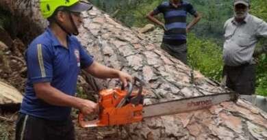 चम्पावत: सड़क पर गिरे विशाल चीड़ के पेड़ को हटाकर फायर सर्विस ने बहाल कराया यातायात