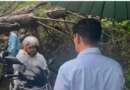 नैनीताल मार्ग पर सड़क पर गिरा चीड़ का पेड़, आयुक्त दीपक रावत ने मौके से कराया यातायात बहाल