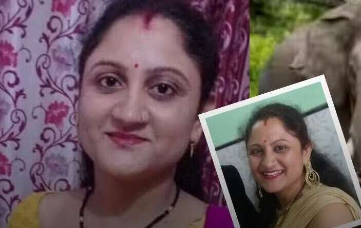 हाथी के हमले में घायल महिला की मौत, ग्रामीणों में आक्रोश; सोलर फेंसिंग की मांग तेज