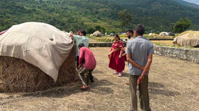 अतिवृष्टि से फसल क्षति पर प्रशासन सक्रिय, लधियाघाटी में खेतों तक पहुंची संयुक्त टीम