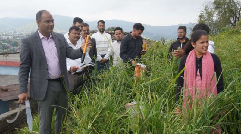 चम्पावत : मडुआ के खेत में हंसिया लेकर उतरे डीएम, कृषक महिलाओं के साथ की फसल कटाई