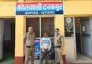 टनकपुर में बोलेरो पिकअप से 250 ग्राम चरस बरामद, पीलीभीत का 50 वर्षीय व्यक्ति गिरफ्तार